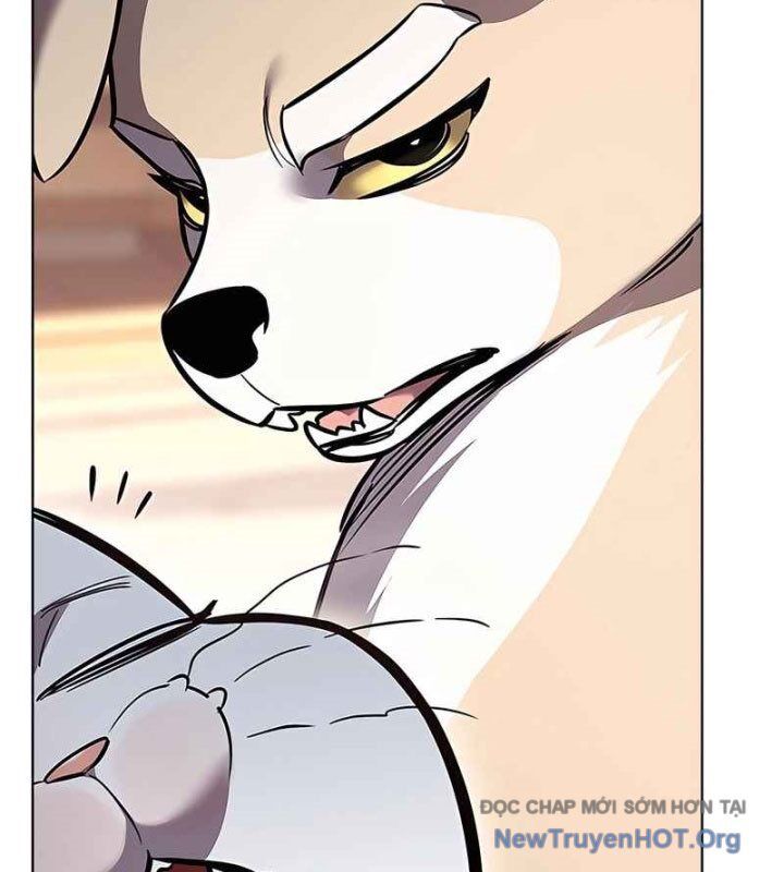 Hoá Thân Thành Mèo - Chapter 370 - Page 73