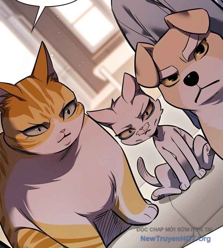 Hoá Thân Thành Mèo - Chapter 370 - Page 96