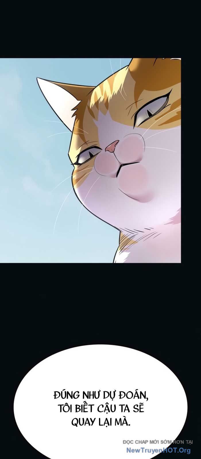 Hoá Thân Thành Mèo - Chapter 371 - Page 17