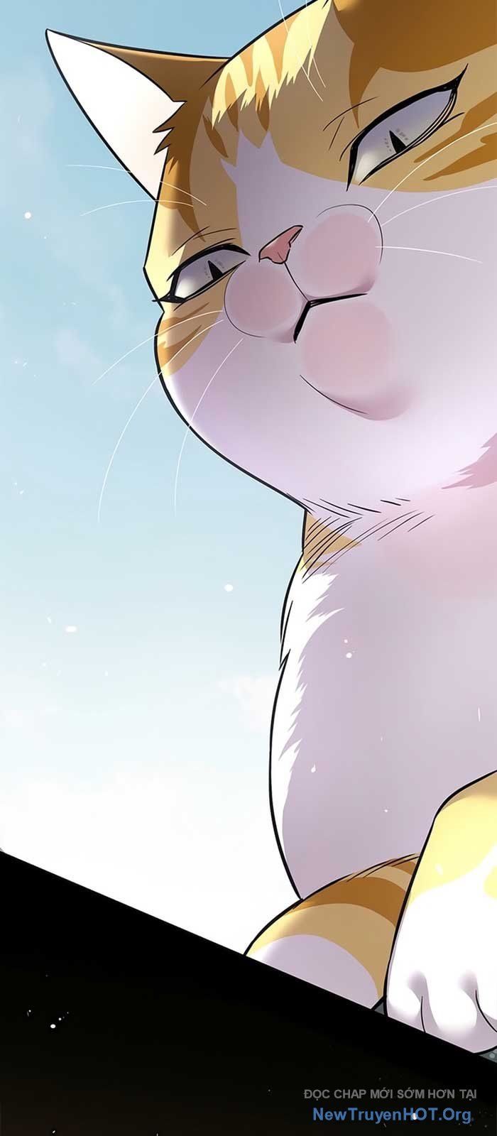 Hoá Thân Thành Mèo - Chapter 371 - Page 22