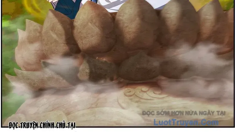 Nghịch Tập Từ Trong Bụng Mẹ: Vừa Sinh Ra Đã Là Vô Địch - Chapter 12 - Page 19