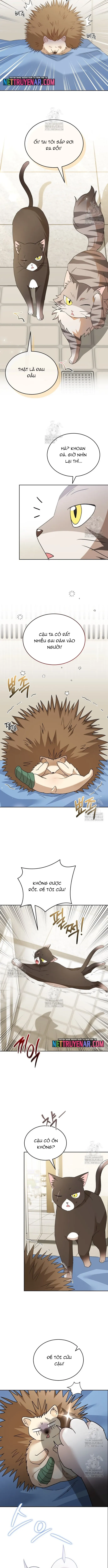 Xin Chào! Bác Sĩ Thú Y - Chapter 100 - Page 4