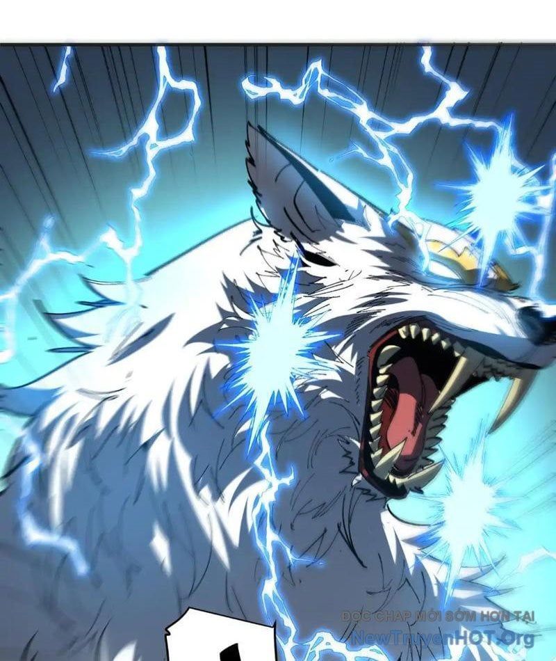 Tôi Dùng Hệ Thống Đỉnh Cấp Tái Tạo Thế Giới - Chapter 15 - Page 30