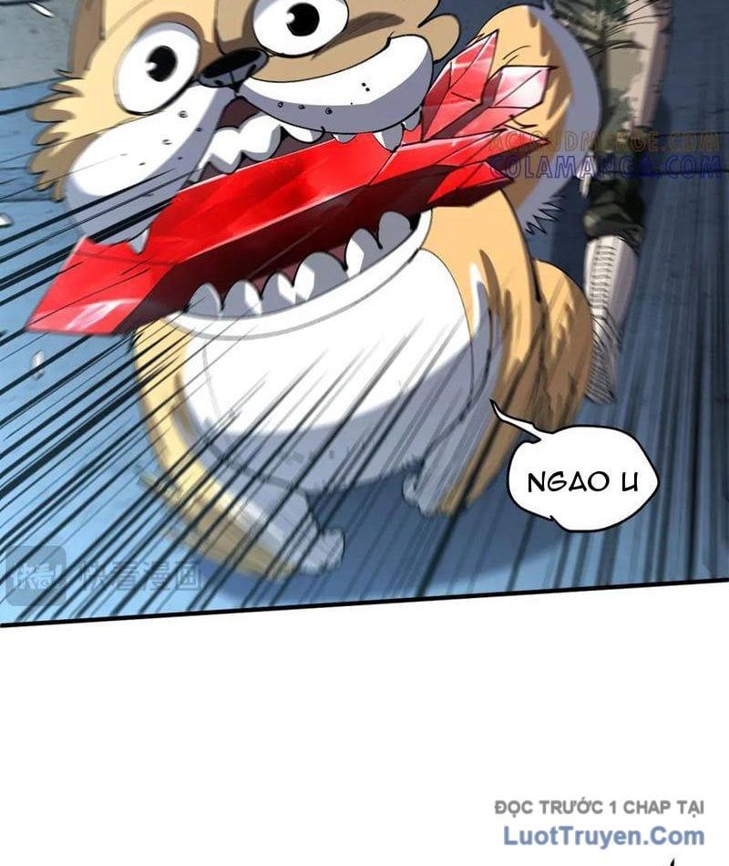 Tôi Dùng Hệ Thống Đỉnh Cấp Tái Tạo Thế Giới - Chapter 18 - Page 68