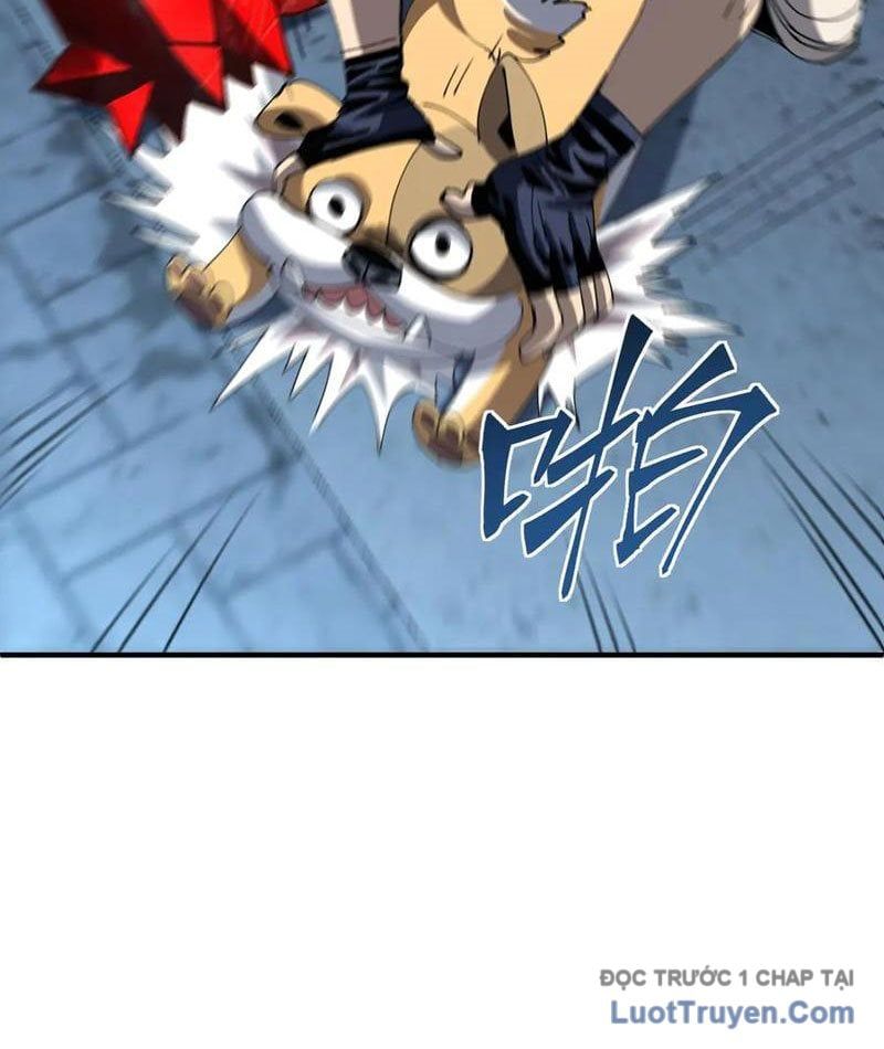 Tôi Dùng Hệ Thống Đỉnh Cấp Tái Tạo Thế Giới - Chapter 18 - Page 71