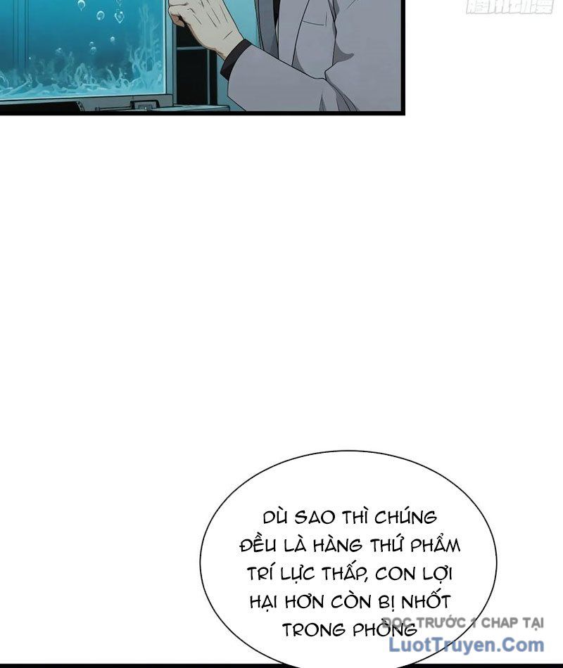 Võ Đạo Tông Sư Trùng Sinh Làm Công Nhân - Chapter 38 - Page 11