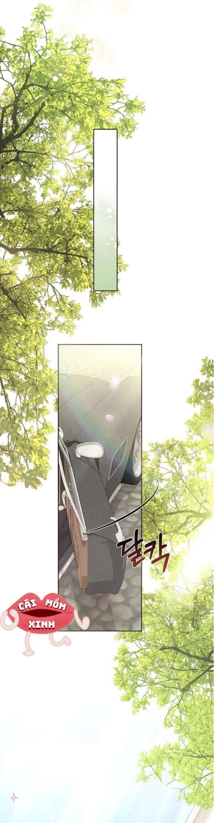 Nơi Đóa Hồng Vàng Úa Tàn - Chapter 14 - Page 18