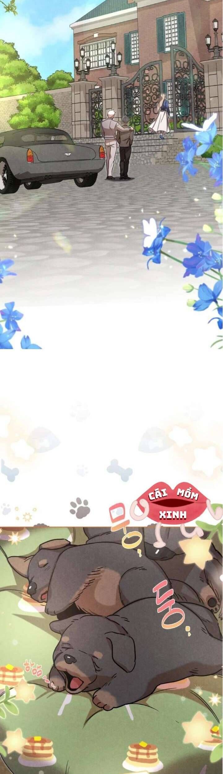 Nơi Đóa Hồng Vàng Úa Tàn - Chapter 14 - Page 26