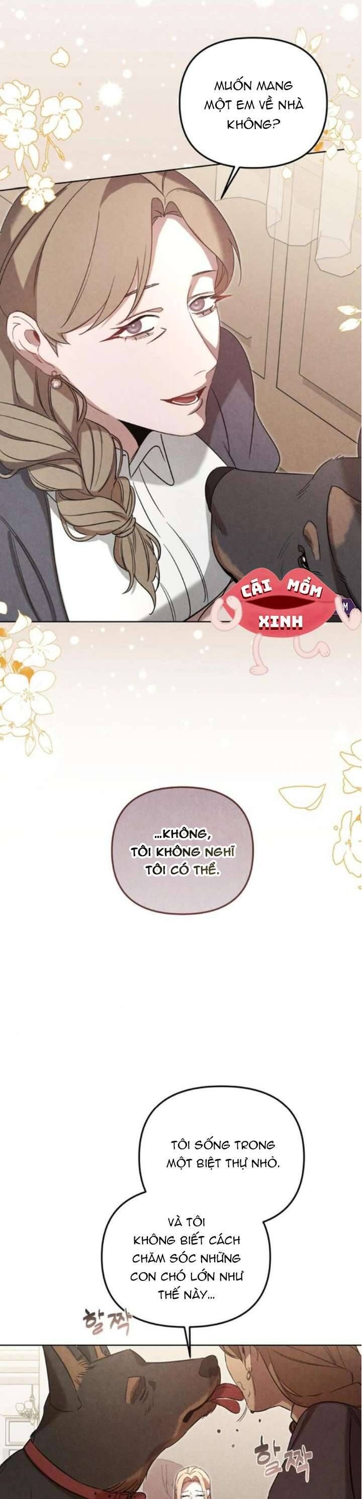 Nơi Đóa Hồng Vàng Úa Tàn - Chapter 14 - Page 37