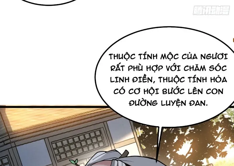 Người Khác Luyện Cấp Ta Tu Tiên, Tới Đại Thừa Kỳ Thì Rời Núi - Chapter 8 - Page 253