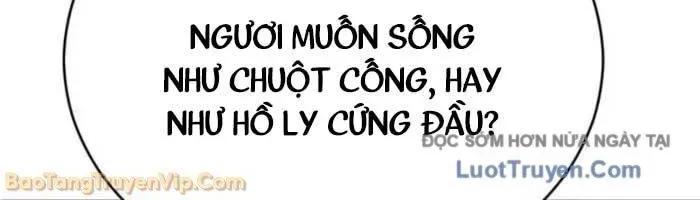 Quyền Vương Phục Sinh - Chapter 22 - Page 273