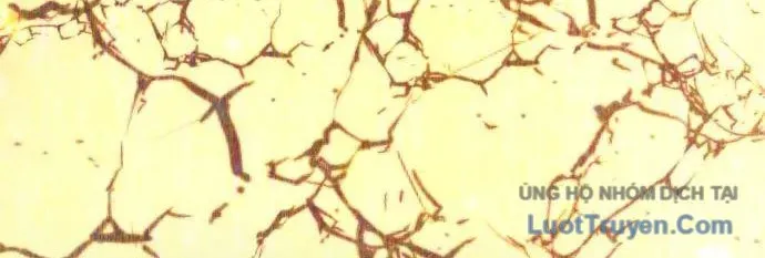 Chiến Binh Hồi Quy - Chapter 103 - Page 228