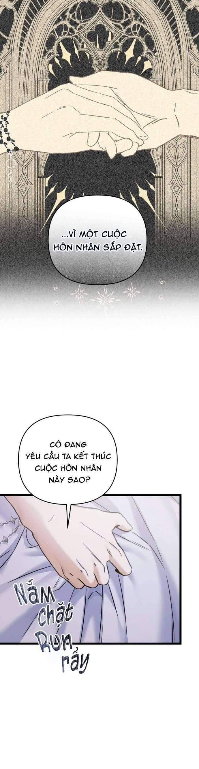 Trên Danh Nghĩa Vợ Chồng - Chapter 17 - Page 27