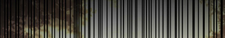 Quái Thú Bị Thuần Hóa Bởi Ác Nữ - Chapter 11 - Page 148