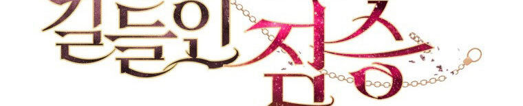 Quái Thú Bị Thuần Hóa Bởi Ác Nữ - Chapter 12 - Page 100