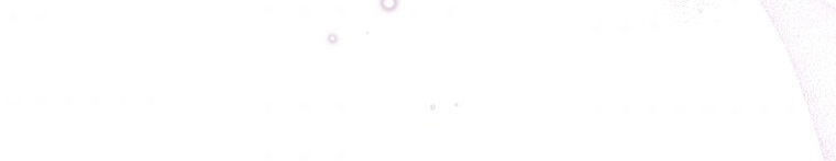 Quái Thú Bị Thuần Hóa Bởi Ác Nữ - Chapter 12 - Page 250