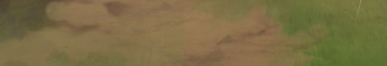 Quái Thú Bị Thuần Hóa Bởi Ác Nữ - Chapter 13 - Page 141