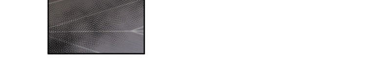 Quái Thú Bị Thuần Hóa Bởi Ác Nữ - Chapter 13 - Page 95