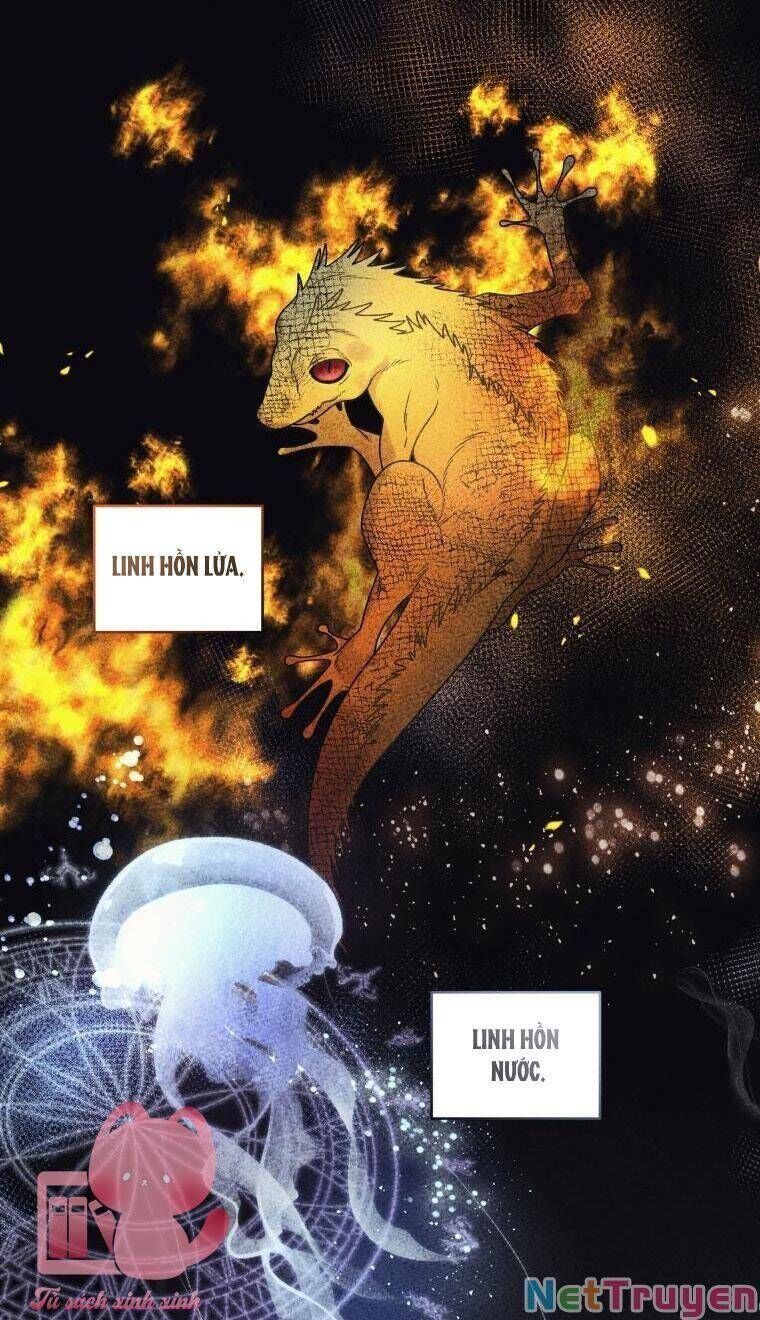 Quái Thú Bị Thuần Hóa Bởi Ác Nữ - Chapter 35 - Page 59