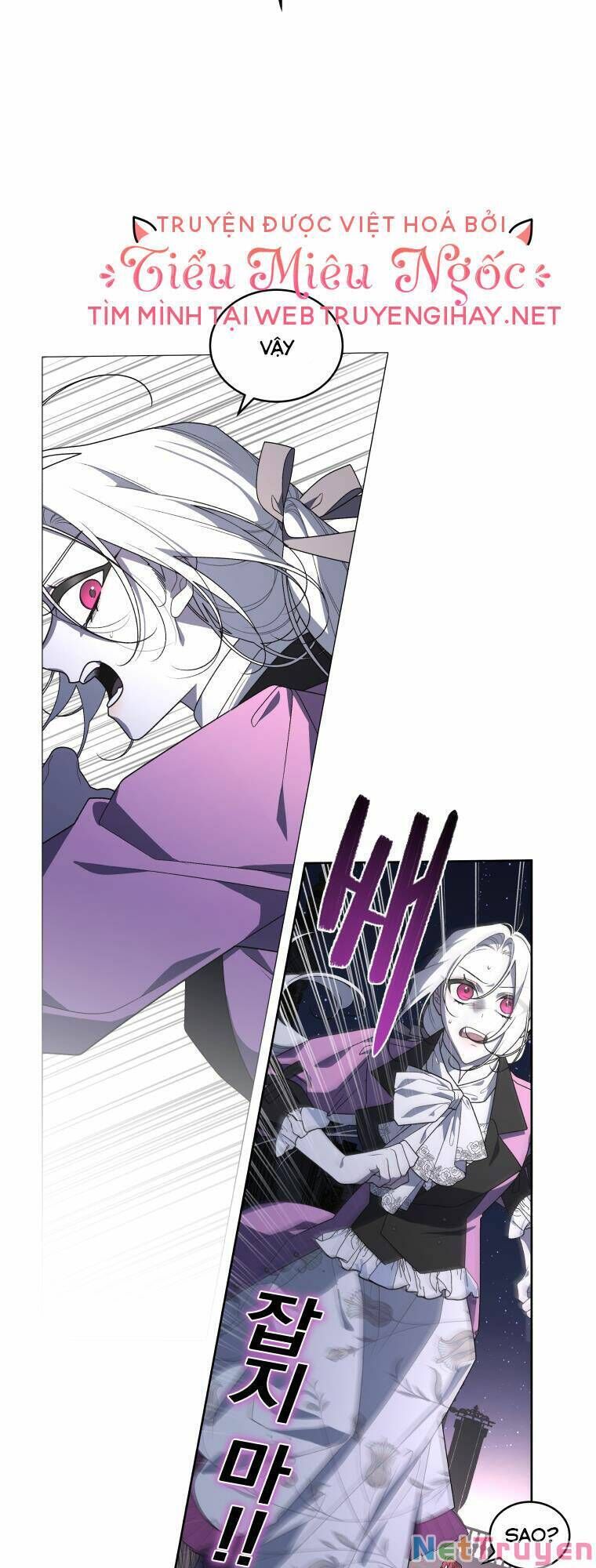 Quái Thú Bị Thuần Hóa Bởi Ác Nữ - Chapter 37 - Page 11