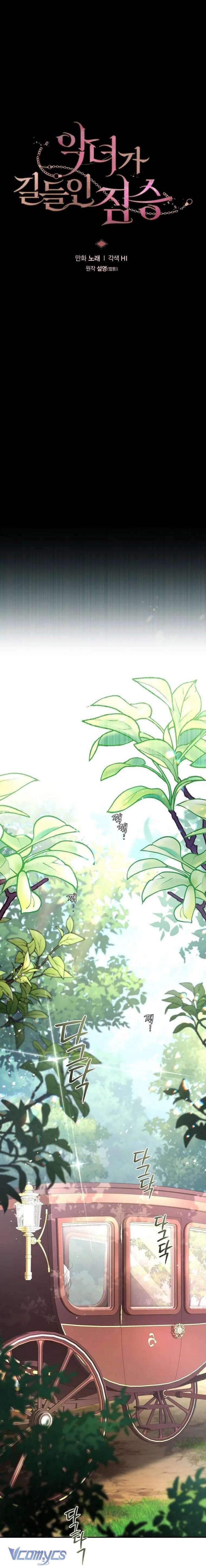 Quái Thú Bị Thuần Hóa Bởi Ác Nữ - Chapter 71 - Page 11