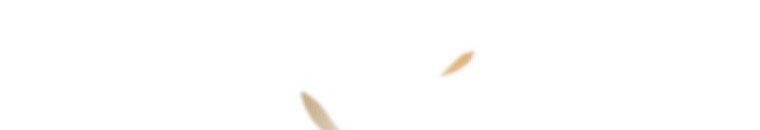 Quái Thú Bị Thuần Hóa Bởi Ác Nữ - Chapter 9 - Page 43