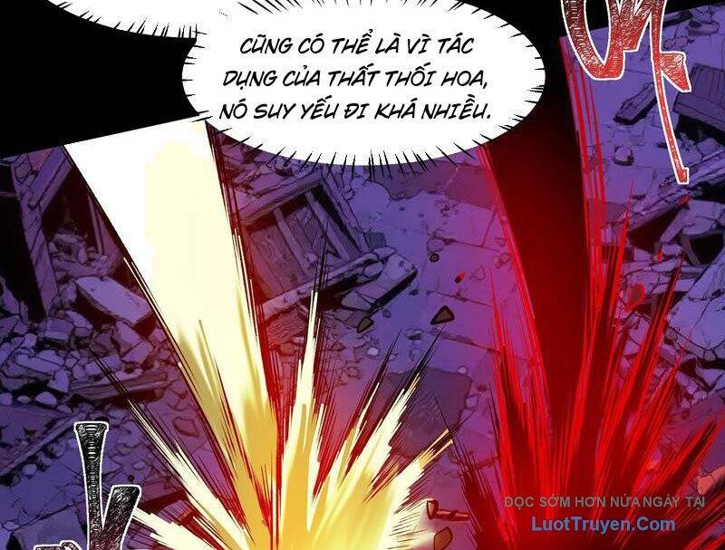 Sau Khi Chia Tay Hoa Khôi, Võ Đạo Của Ta Thẳng Tới Cấp Thần - Chapter 28 - Page 33