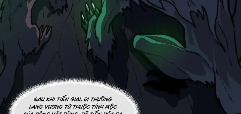 Sau Khi Chia Tay Hoa Khôi, Võ Đạo Của Ta Thẳng Tới Cấp Thần - Chapter 29 - Page 16