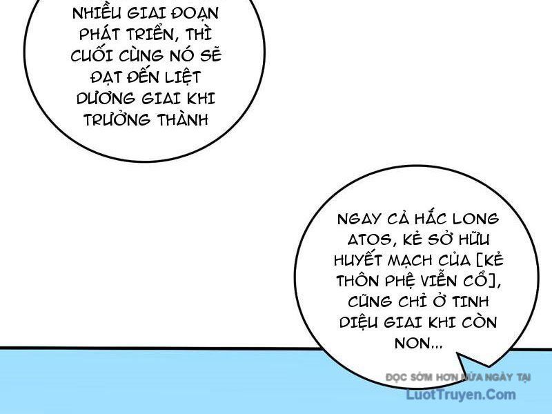 Bắt Đầu Kế Nhiệm Boss Hắc Long, Ta Vô Địch - Chapter 82 - Page 5