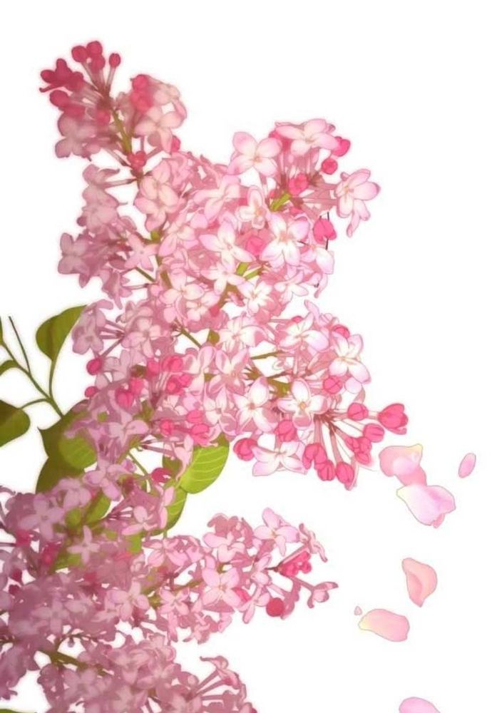 Winterbell - Chapter 42 - Page 91