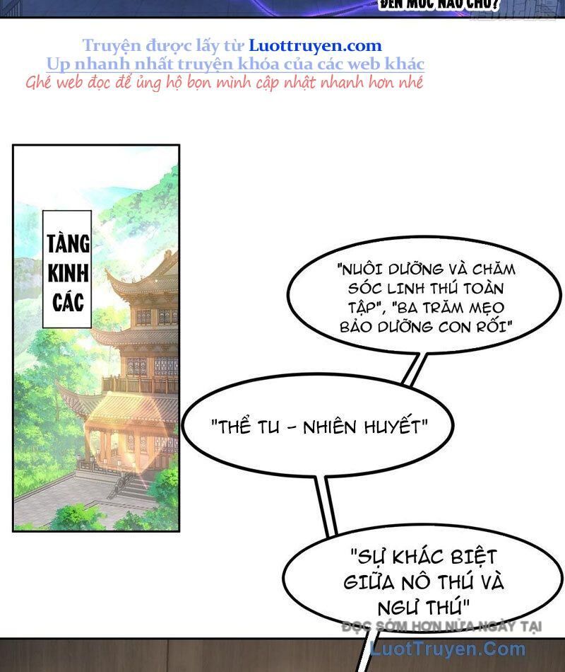 Sư Tỷ, Ta Không Muốn Cố Gắng! - Chapter 15 - Page 12