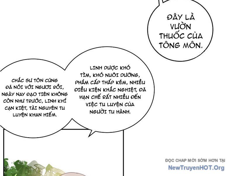 Sư Tỷ, Ta Không Muốn Cố Gắng! - Chapter 3 - Page 10