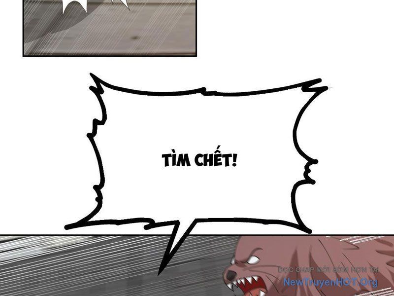 Sư Tỷ, Ta Không Muốn Cố Gắng! - Chapter 4 - Page 8