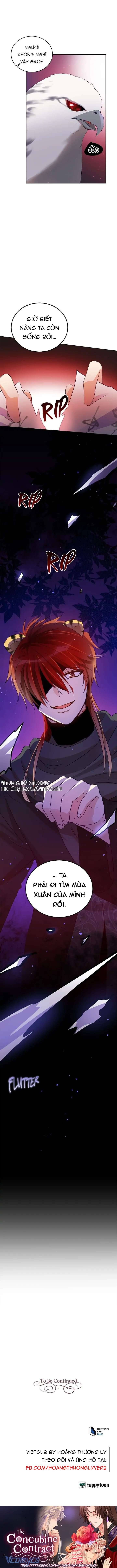 Ái Phi Khế Ước - Chapter 71 - Page 12