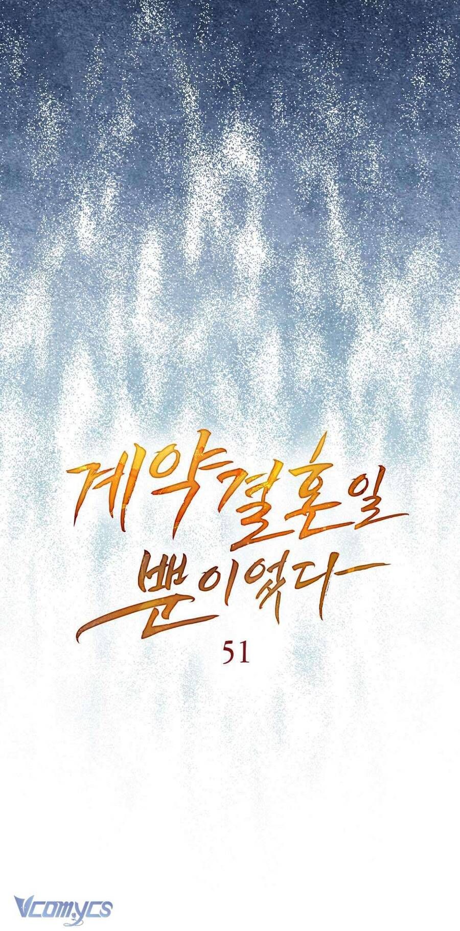 Hôn Nhân Khế Ước - Chapter 51 - Page 29