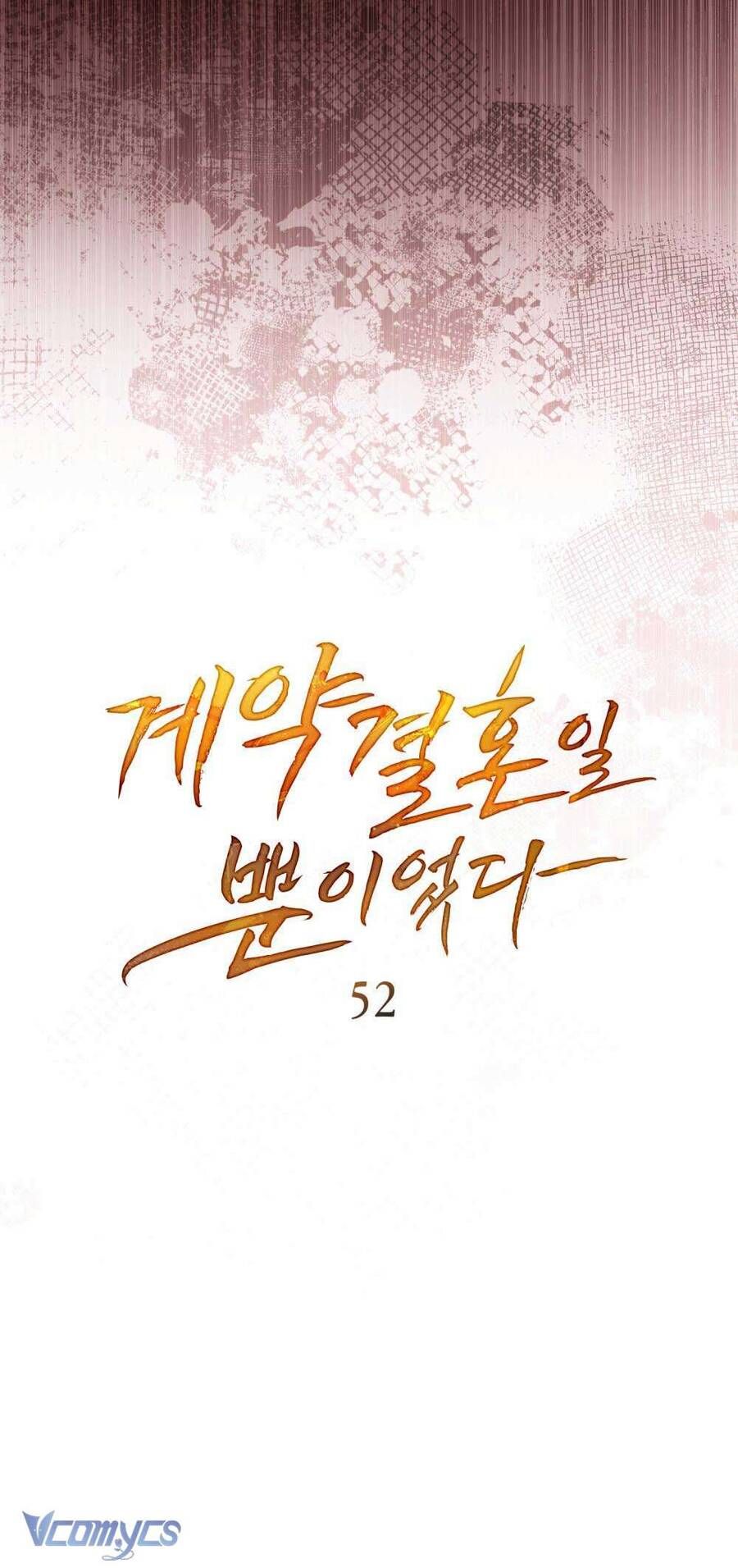 Hôn Nhân Khế Ước - Chapter 52 - Page 22