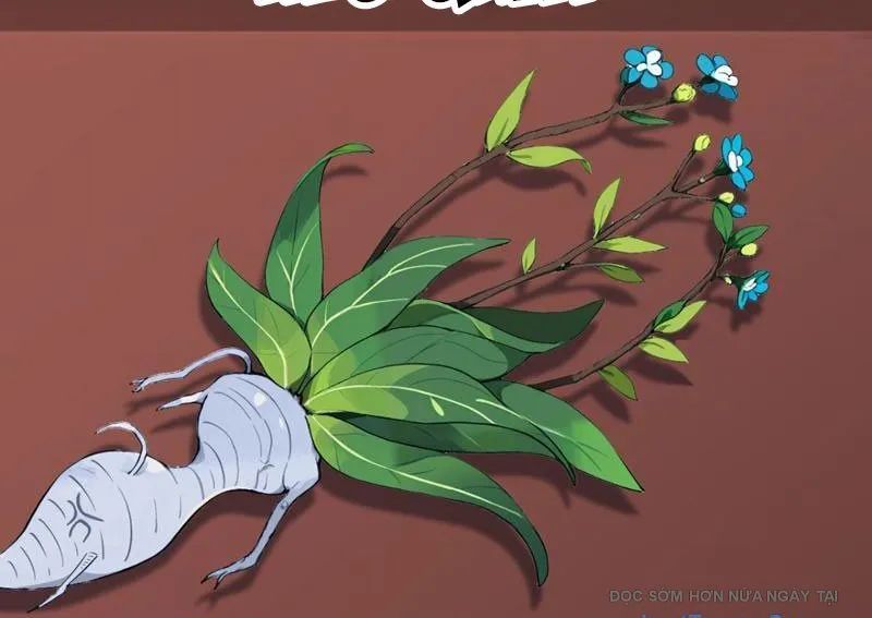 Thái Cổ Thập Hung: Người Khác Ngự Thú Ta Ngự Thú Nương - Chapter 70 - Page 85