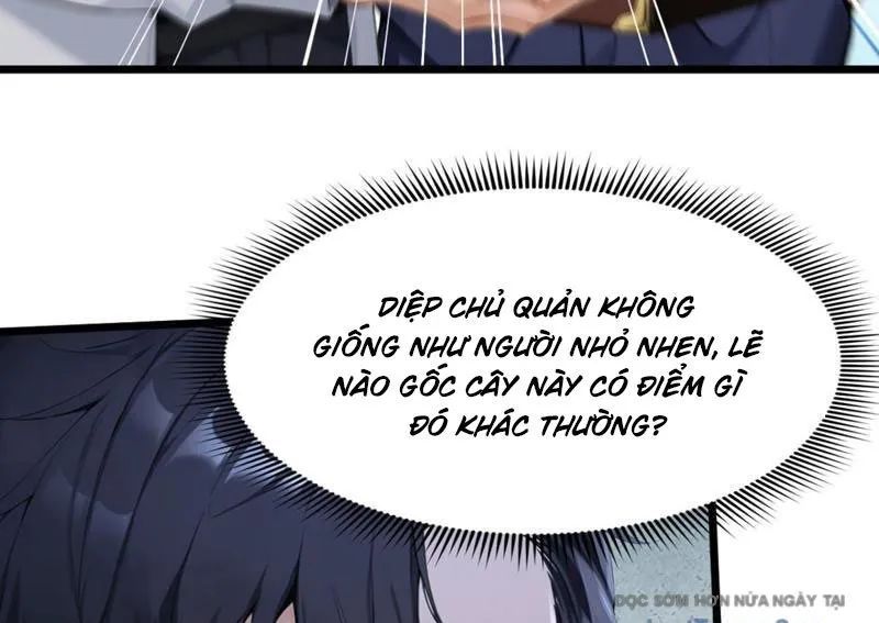 Thái Cổ Thập Hung: Người Khác Ngự Thú Ta Ngự Thú Nương - Chapter 70 - Page 90