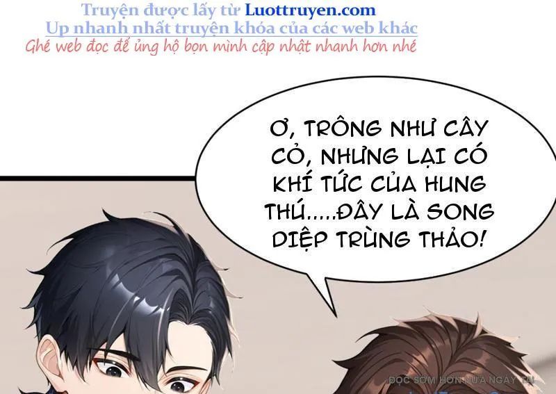 Thái Cổ Thập Hung: Người Khác Ngự Thú Ta Ngự Thú Nương - Chapter 70 - Page 96