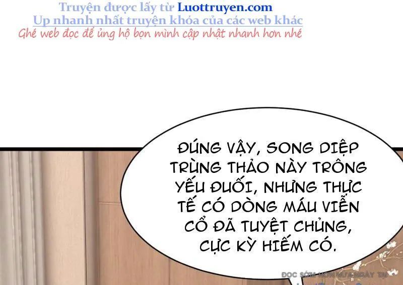 Thái Cổ Thập Hung: Người Khác Ngự Thú Ta Ngự Thú Nương - Chapter 70 - Page 99