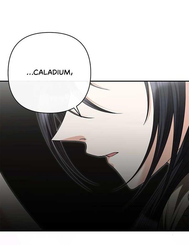 Chủ Hầm Ngục Cấp S - Chapter 47 - Page 3