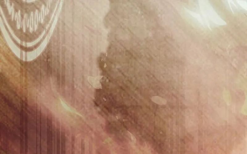 Thiên Tài Phép Thuật Nắm Giữ Khái Niệm - Chapter 37 - Page 330