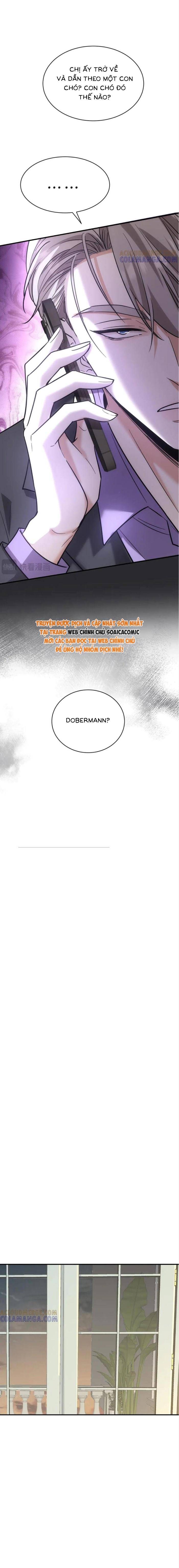 Tổng Tài Chó - Chapter 42 - Page 10