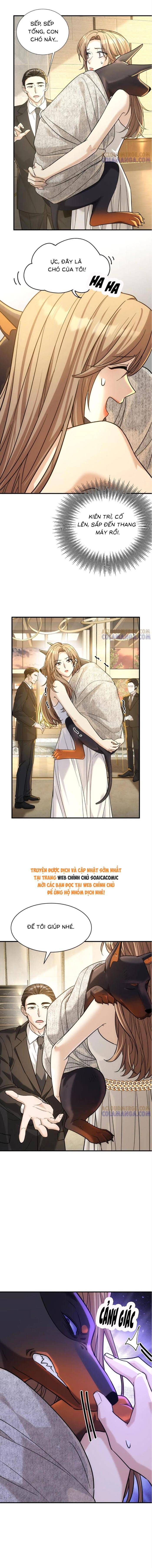 Tổng Tài Chó - Chapter 42 - Page 7