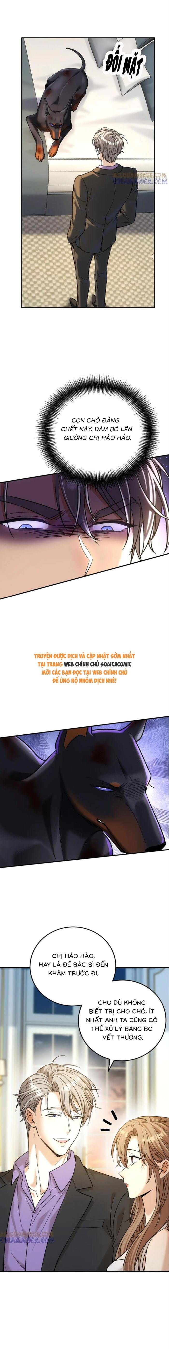 Tổng Tài Chó - Chapter 43 - Page 10