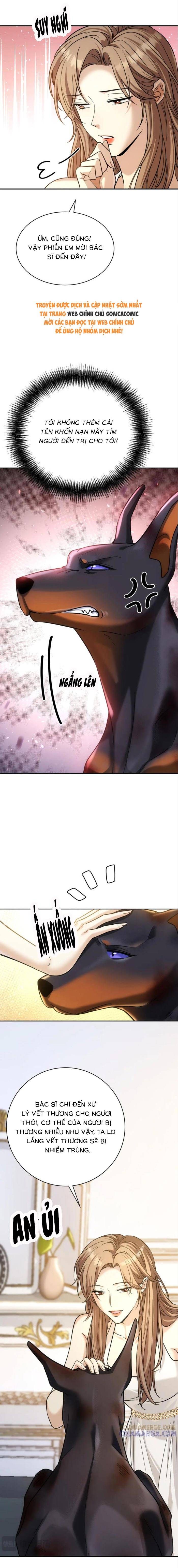 Tổng Tài Chó - Chapter 43 - Page 11