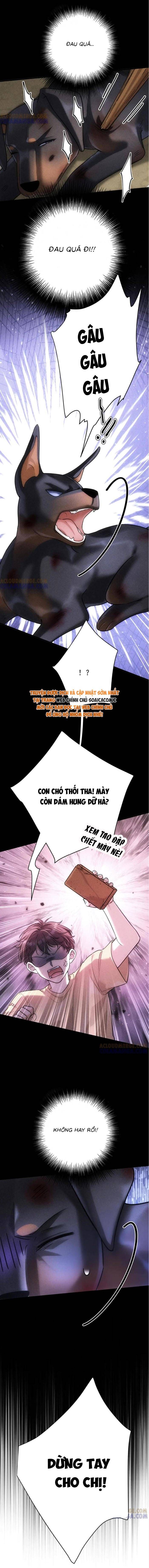 Tổng Tài Chó - Chapter 47 - Page 3