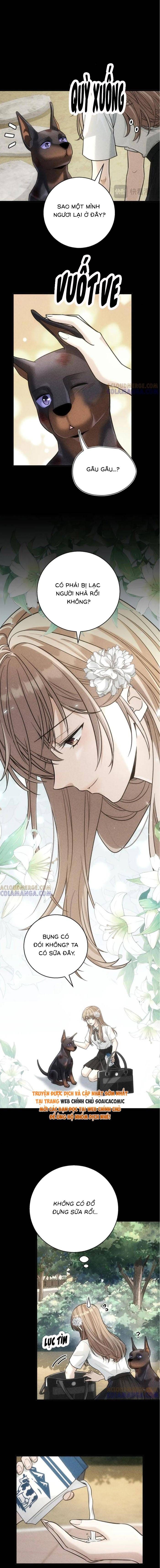 Tổng Tài Chó - Chapter 47 - Page 5