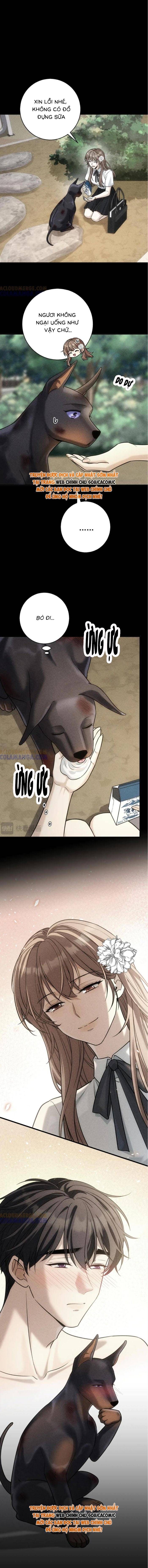 Tổng Tài Chó - Chapter 47 - Page 6