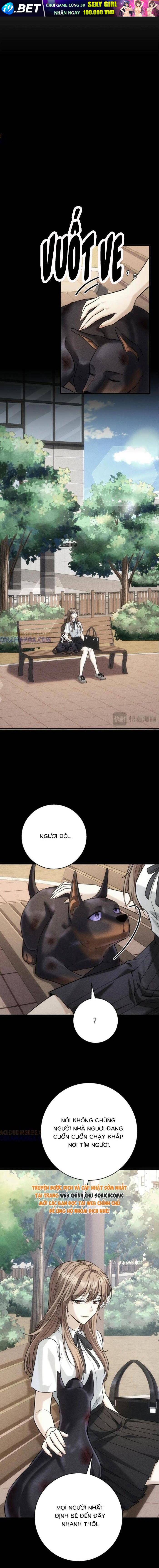 Tổng Tài Chó - Chapter 47 - Page 7